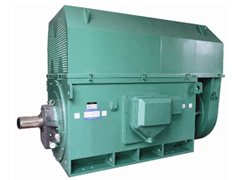 YJTGKK3552-4YKK系列高压电机